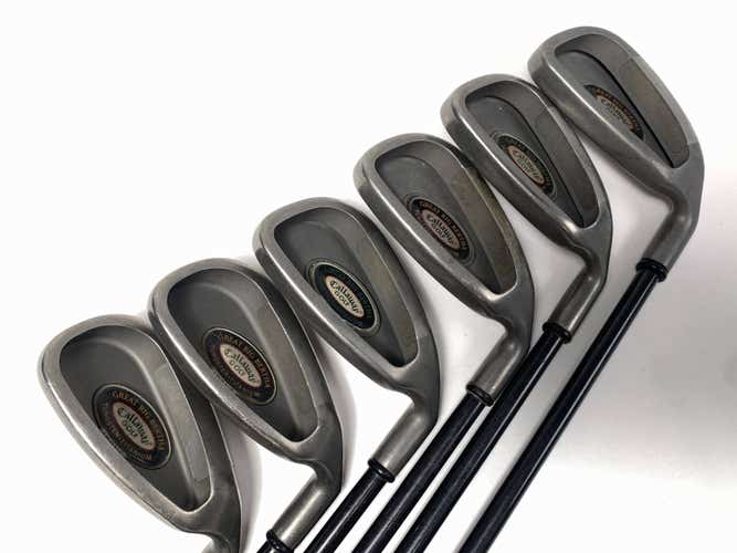 Callaway Big Bertha Tungsten Titanium Iron Set 5-PW+SW RCH 96 Reg RH No 9 iron