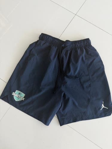 Blue Large Men's Jordan Shorts (Used)