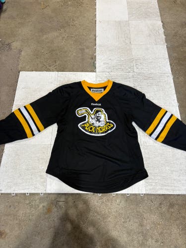 Beer league Large Adult Reebok Jersey (Used)