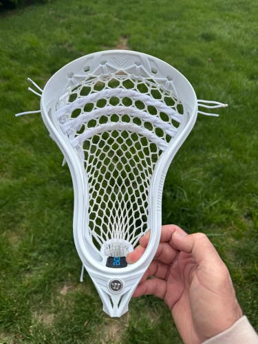 Warrior Evo V StringKing 5S (New)