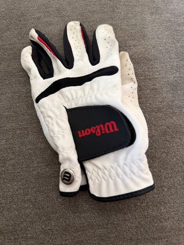 Wilson Right Handed Glove (Used)