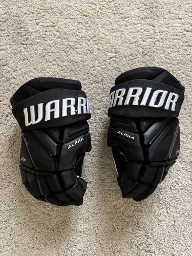 Warrior Alpha LX3 Gloves 14" (Used)