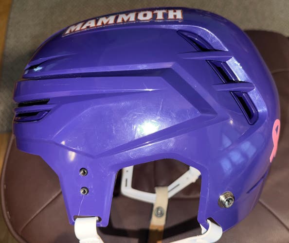 USED ELMIRA MAMMOTH FPHL HELMET size LARGE #15
