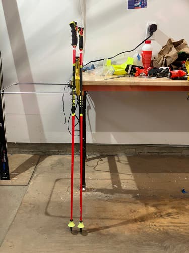 125cm Leki Carbon GS Racing Ski Poles