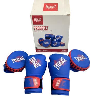 Used Everlast Boxing Gloves Royal Blue SM 11760-S000090519