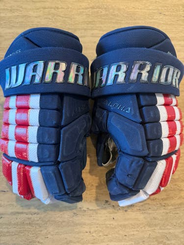 Warrior Alpha FR2 Pro, Pro Stock 14" Hockey Gloves Rivermen 6648