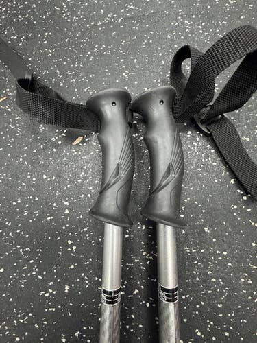 Used VECTOR Mens DH Ski Pole Grey 155 cm / 61 in 11849-S000038756
