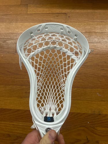 Warrior Evo V Head (New)