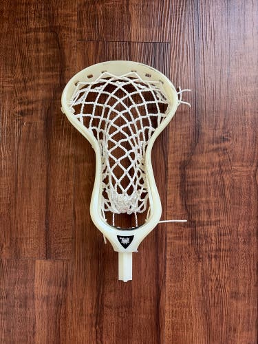 Limited Edition ECD Weapon X Head
