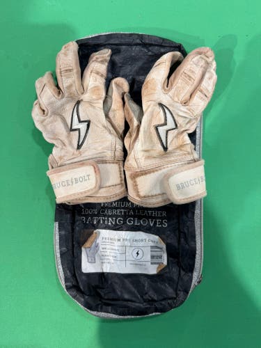 Bruce Bolt Batting Gloves | Youth Medium