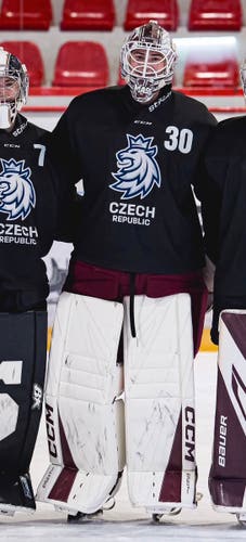 Hrabal 36" 2025 CCM EFlex 7 Goalie Leg Pads Pro Stock (Used)