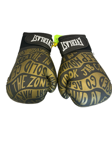 Used Everlast Boxing Gloves Brown LG 11682-S000130180