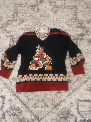 Phoenix Arizona Coyotes Picasso NHL CCM Yotes Hockey Jersey L/XL Youth