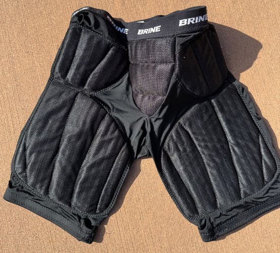 Brine Goalie Other (Used)