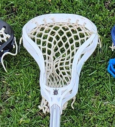 Brine Clutch Elite HS Head (Used)