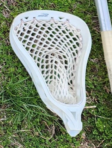 Brine Harpoon Head (Used)