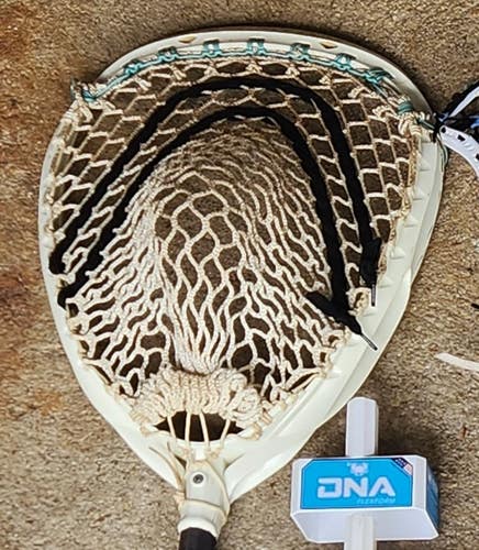 Brine Money Head (Used)