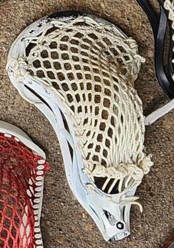 Warrior Rabil Head (Used)