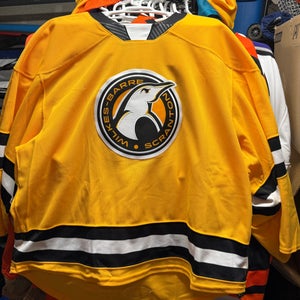 Scranton Wilkes-Barre Penguins goalie jersey