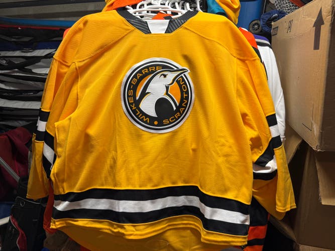 Scranton Wilkes-Barre Penguins goalie jersey