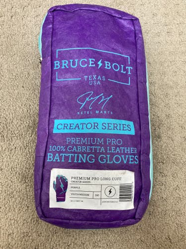 Batting Gloves (Used)