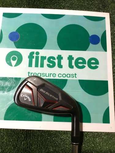 Callaway Big Bertha CF19 6 Iron Regular KBS MAX 90 Steel Shaft (38)