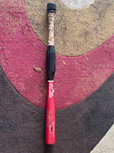 2023 CamWood Trainer Training Bat (-3) 28 oz 31" (Used)