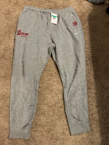 Gray XL Men's Nike Pants (New)