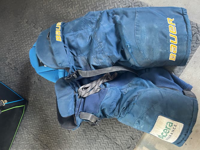 Senior Medium Bauer Nexus 1N Hockey Pants (Used)