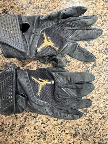 Large Air Jordan Batting Gloves (Used)