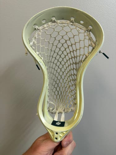 StringKing Mark 2F Head (Used)