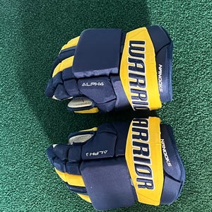 Warrior Alpha Pro Gloves 15" (Used)