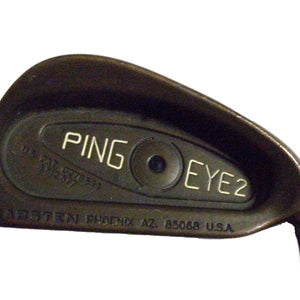 Ping Eye 2 Beryllium Copper 3 Iron Black (Steel Microtaper Stiff) 3i BeCu Club