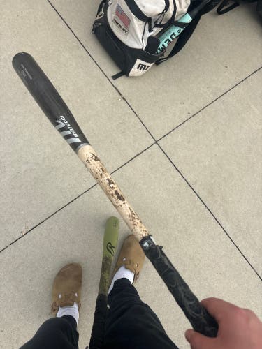 2023 Marucci AM22 Maple Bat 30 oz 33" (Used)