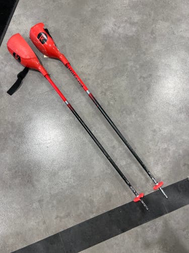 40in (100cm) Rossignol All Mountain Ski Poles (Used)