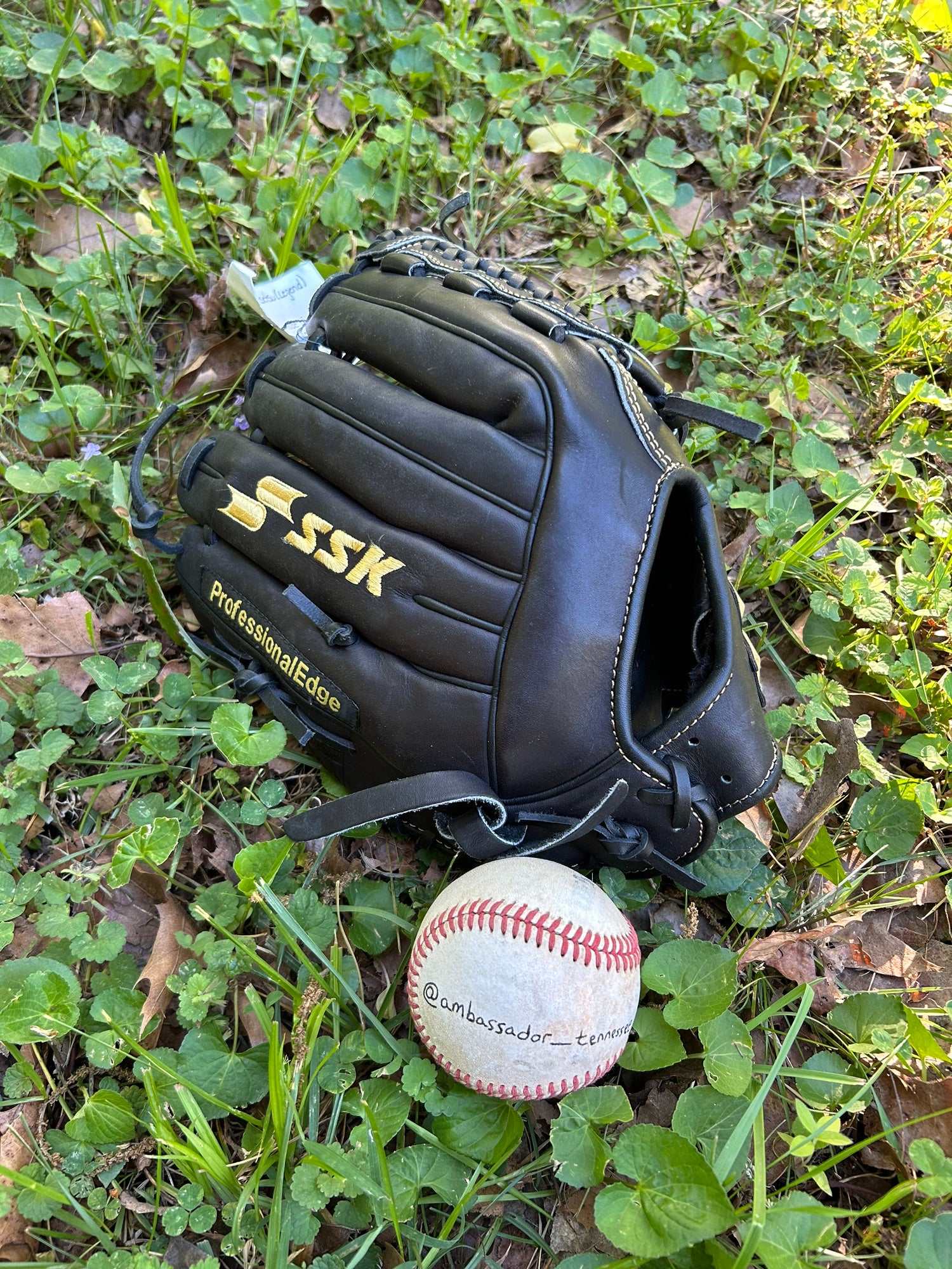 SSK Professional Edge Baseball Glove | New and Used on SidelineSwap