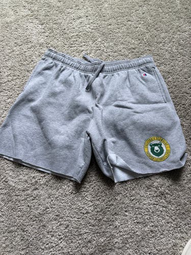 Gray XXL Adult Unisex Champion Sweat-Shorts (Used)