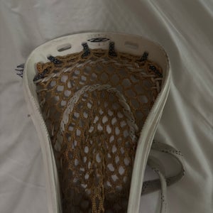 Adult Brine F10 Stick (Used)