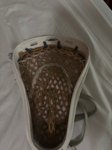 Adult Brine F10 Stick (Used)