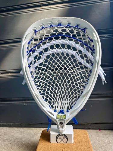 Warrior Nemesis 5 Strung with ECD Impact Mesh