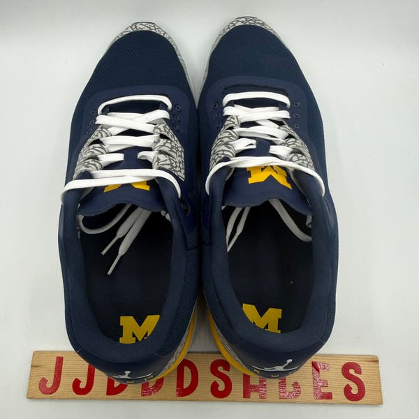 Nike Air Jordan New Zoom Tenacity 88 Michigan Wolverines PE  display picture 1