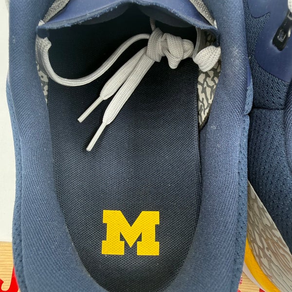 Nike Air Jordan New Zoom Tenacity 88 Michigan Wolverines PE  display picture 2