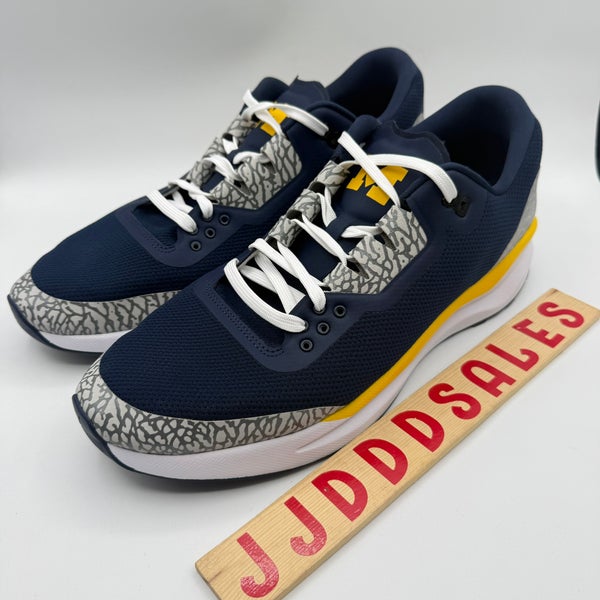 Nike Air Jordan New Zoom Tenacity 88 Michigan Wolverines PE  display picture 1