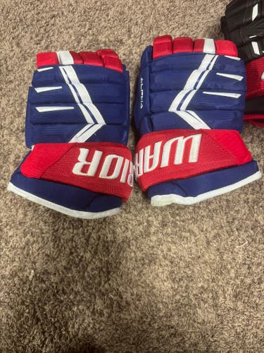 Warrior Alpha DX Pro Gloves 13" Pro Stock (Used)