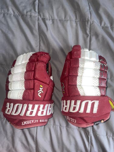 Warrior Dynasty AX1 Gloves 13" Pro Stock (Used)