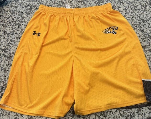 Under Armour Towson lacrosse game team issued shorts L large new mens