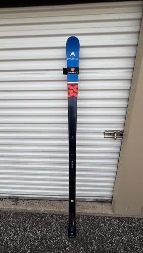 Men's Dynastar Speed WC FIS GS 193 cm Racing Skis Without Bindings (Used)