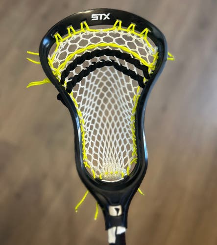 STX Stallion Head (New)