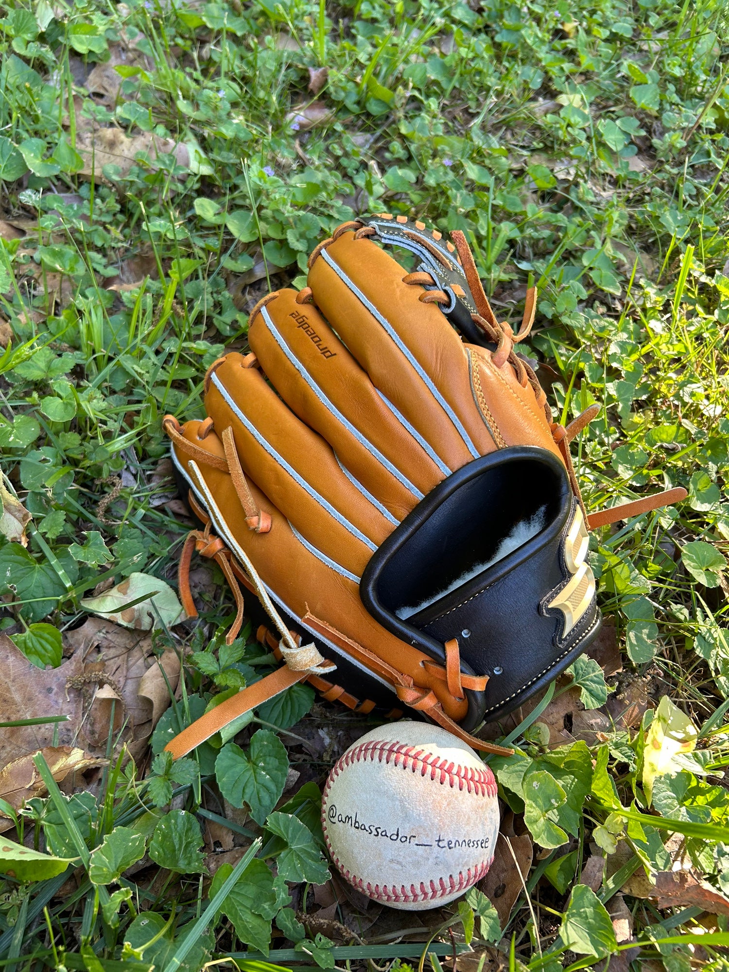 SSK Professional Edge Baseball Glove | New and Used on SidelineSwap