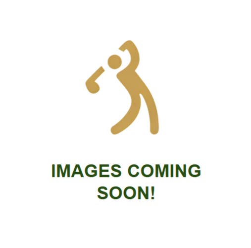 Ping Eye 2 Beryllium Copper 6-Iron Orange Dot JZ Stiff Flex 37.5